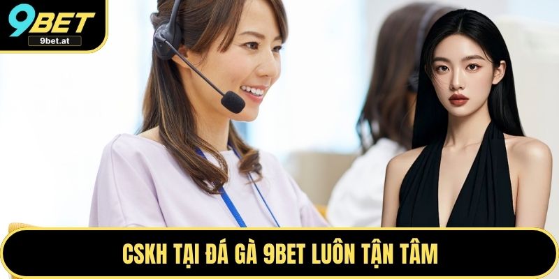 CSKH tại Đá gà 9BET luôn tận tâm